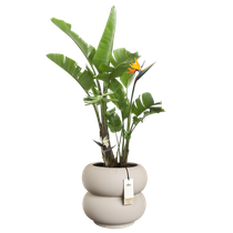 amber roll low 43cm greige